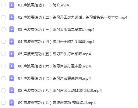 曾老师《声波震荡功》视频9节-优选易学