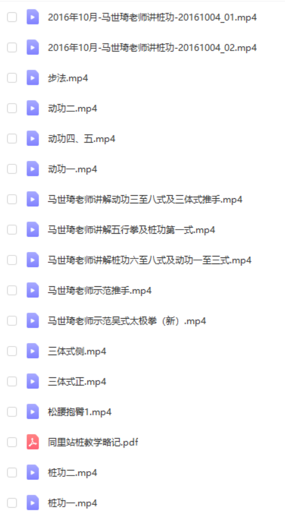 马世琦2016桩功课程合集 含桩功讲课 分动作演示-优选易学
