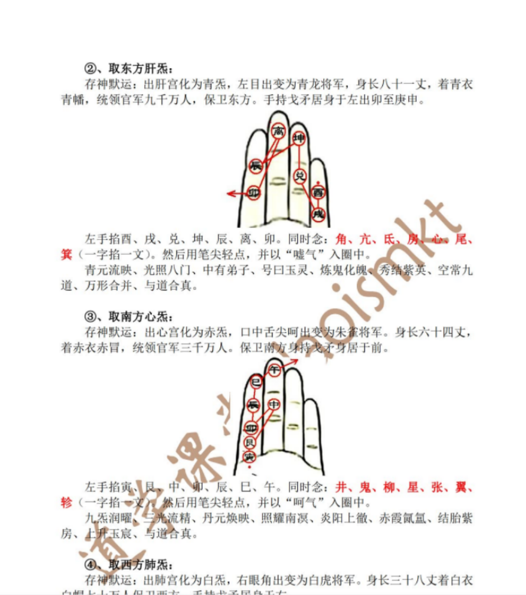 天师派符咒视频课程天师府符箓教学 21集加文档-优选易学