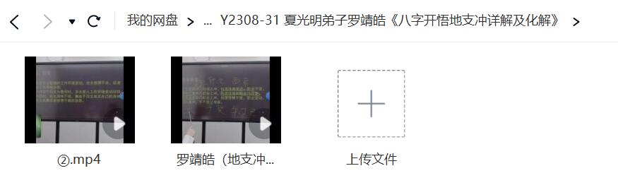 夏光明弟子罗靖皓《八字开悟地支冲详解及化解》-优选易学