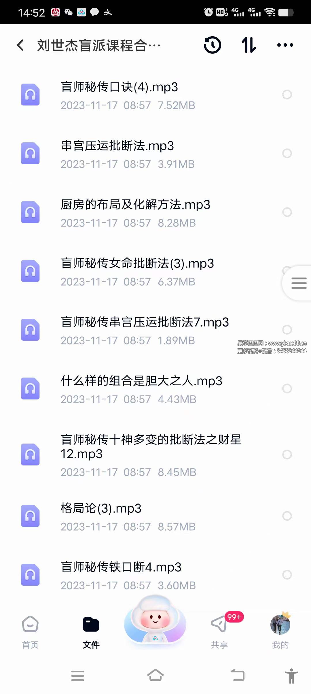 刘世杰盲派课程合集109节-优选易学