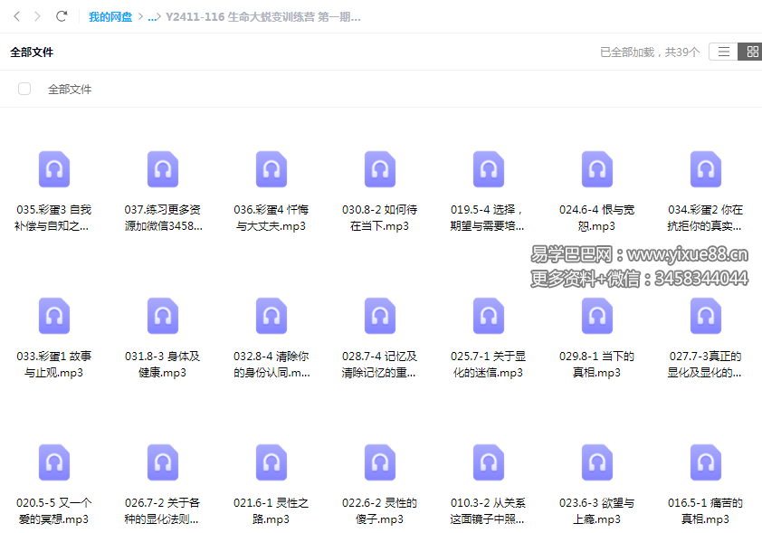 生命大蜕变训练营 第一期 38节音频-优选易学